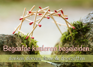begaafdekinderenbegeleiden.nl